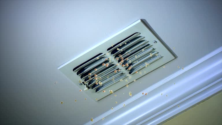 Best HVAC Duct Inspection Services  in Weldon, CA