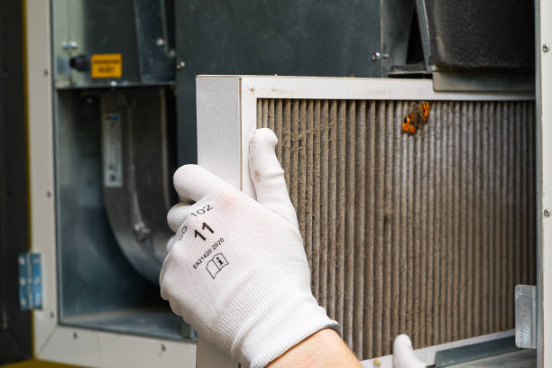 Best Residential Air Duct Cleaning  in Weldon, CA